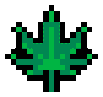 Cannabis