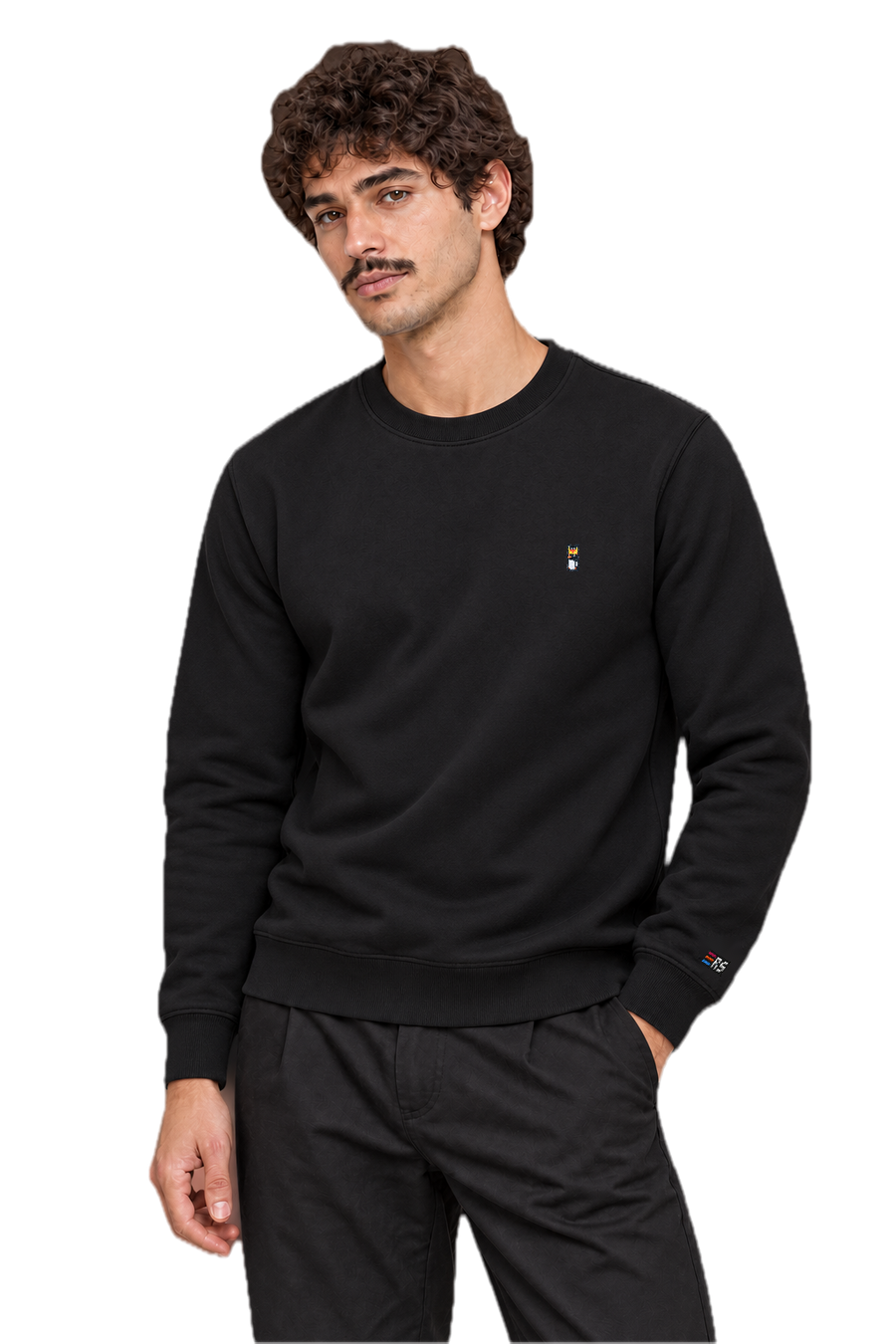 Pixel Pinguin Mit Krone – Bestickter Bio Pullover · Schwarz · Model · Mann