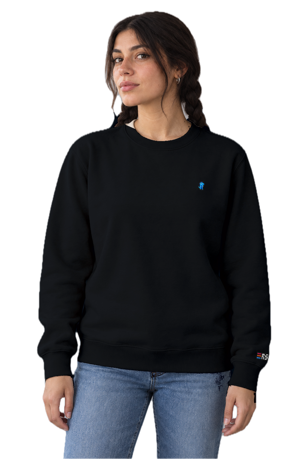 Pixel Dino Blau – Bestickter Bio Pullover · Schwarz · Model · Frau