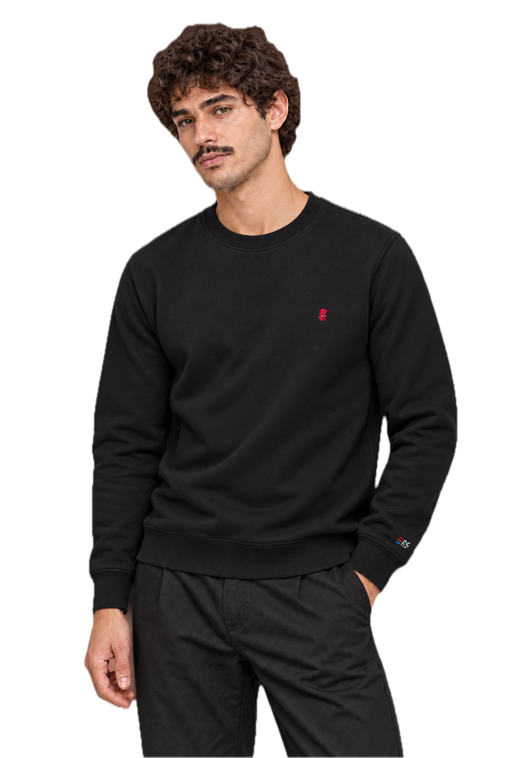 Pixel Dino Rot – Bestickter Bio Pullover · Schwarz · Model · Mann