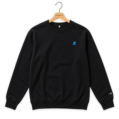 Pixel Dino Blau – Bestickter Bio Pullover · Schwarz · Bügel A · Bügel V5